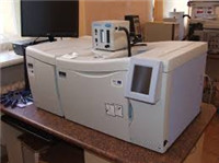 Gas chromatograph