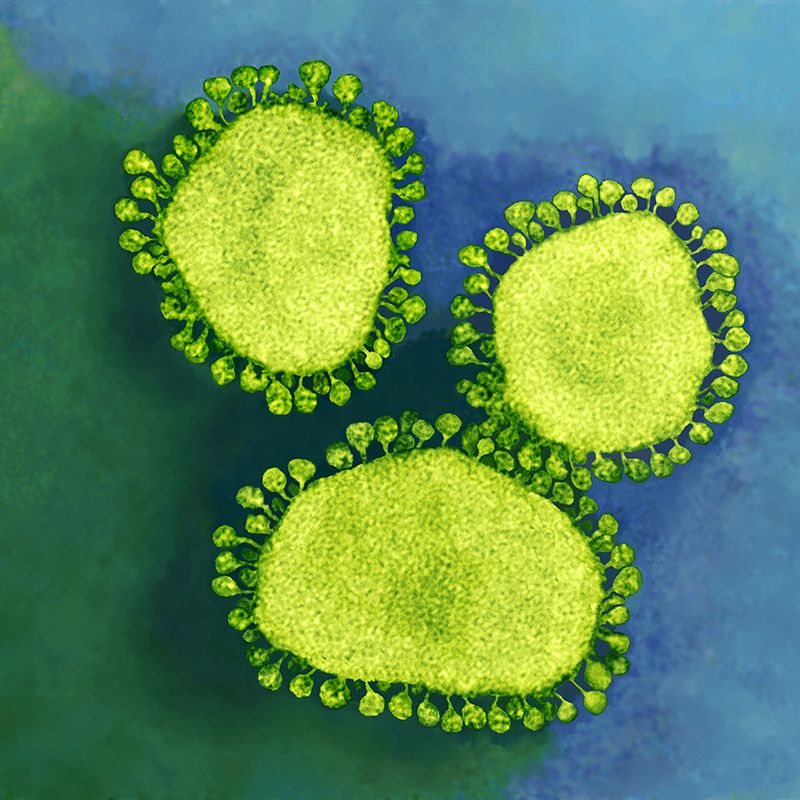 China coronavirus