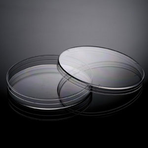 Petri Dish