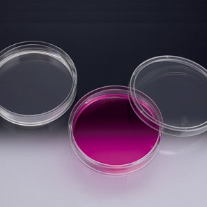 Petri Dish